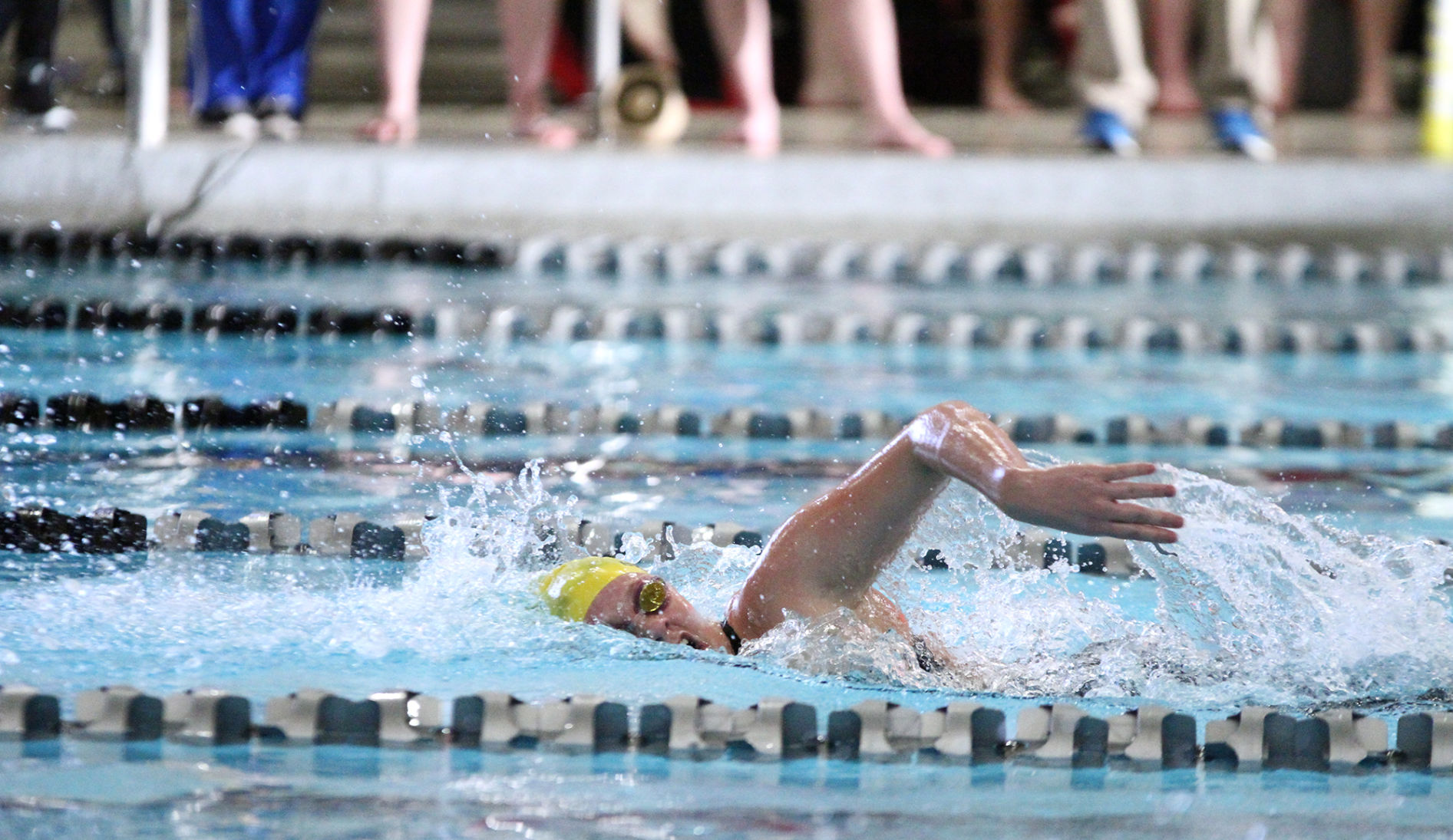 GAC swimming and diving championships